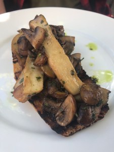 The Punter pub vegan starter of garlic and thyme mushrooms on sourdough toast